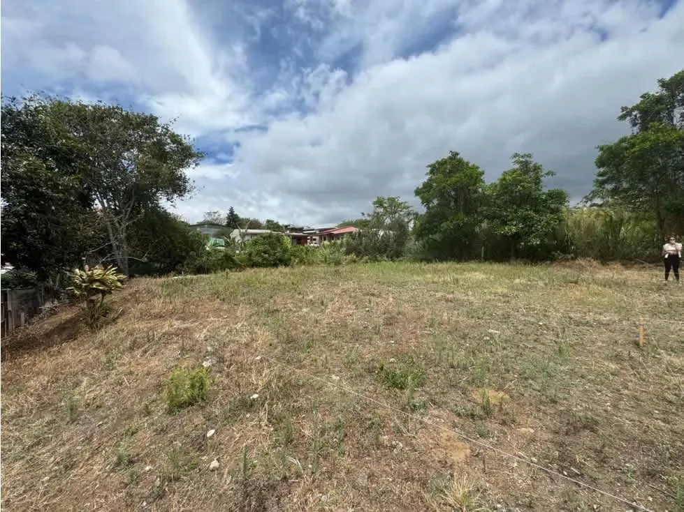 Metraje: 509.02 m² (Tenemos 2 lotes disponibles), photo 9