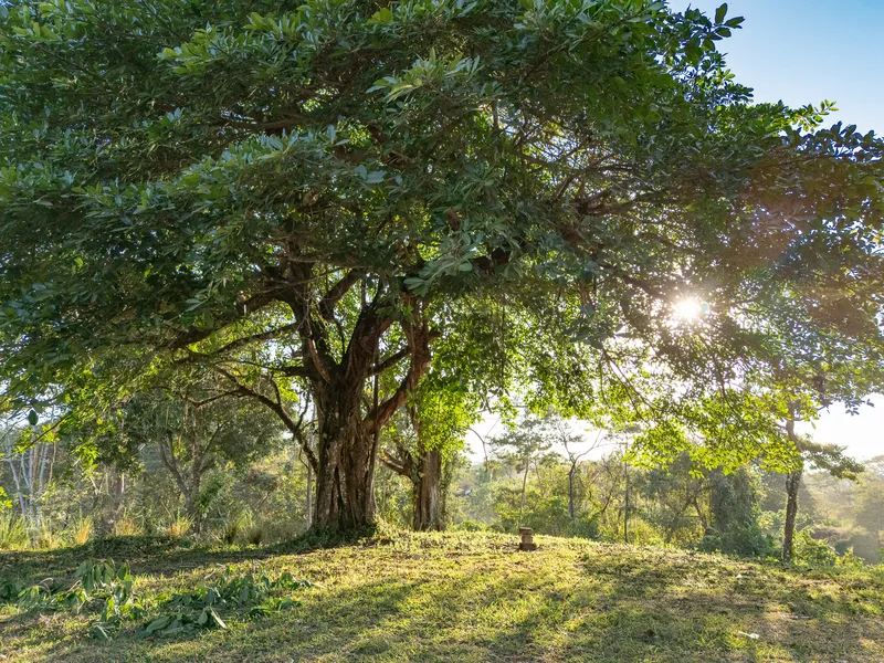 Land For Sale in Santiago, photo 3