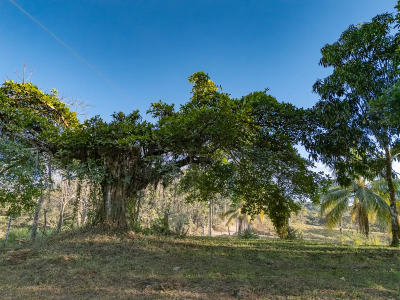 Land For Sale in Santiago, photo 4
