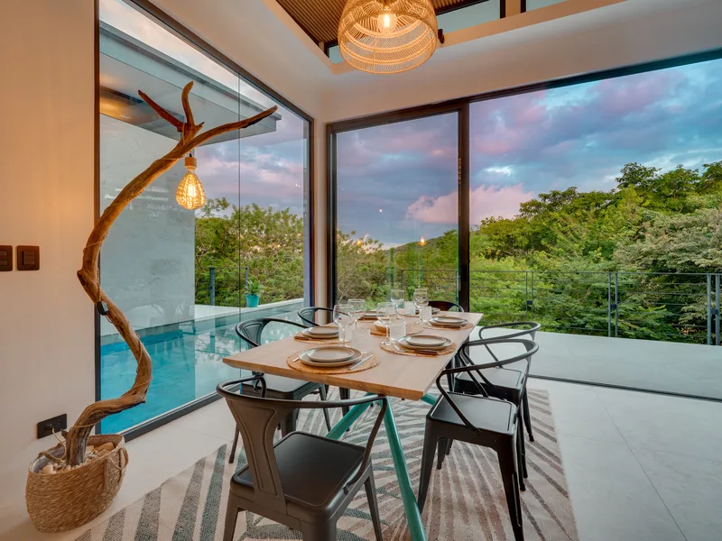 4 Bed Single Family Homes For Sale in Tamarindo, photo 2