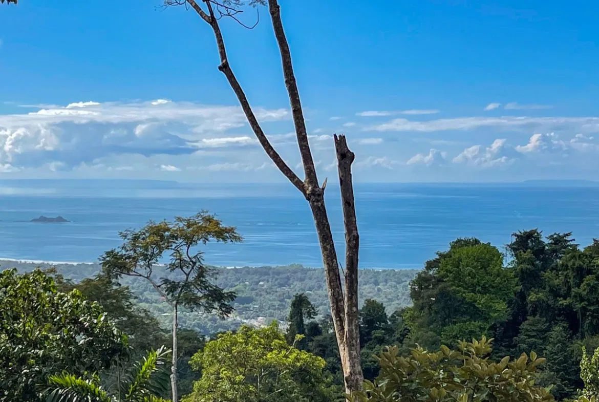 OCEAN VIEW LOT IN 1.2 ACRES  CLOSE TO UVITA, photo 2