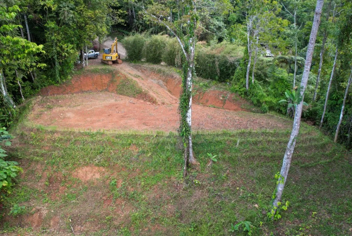 OCEAN VIEW LOT IN 1.2 ACRES  CLOSE TO UVITA, photo 12