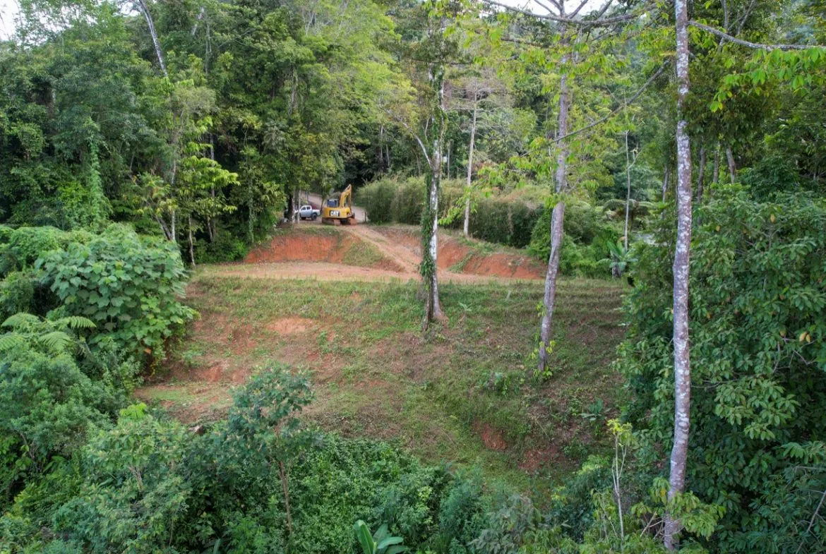 OCEAN VIEW LOT IN 1.2 ACRES  CLOSE TO UVITA, photo 14