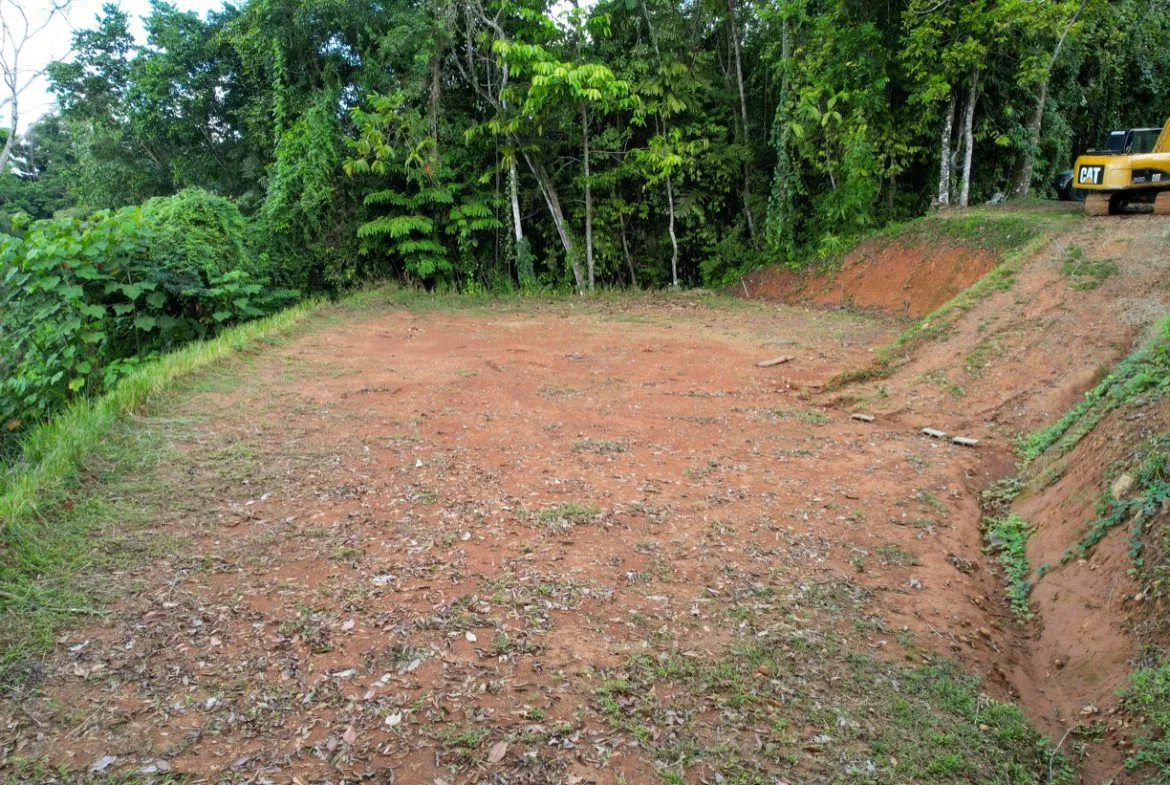 OCEAN VIEW LOT IN 1.2 ACRES  CLOSE TO UVITA, photo 16