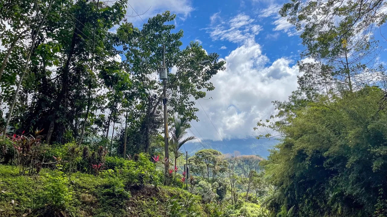 OCEAN VIEW LOT IN 1.2 ACRES  CLOSE TO UVITA, photo 17