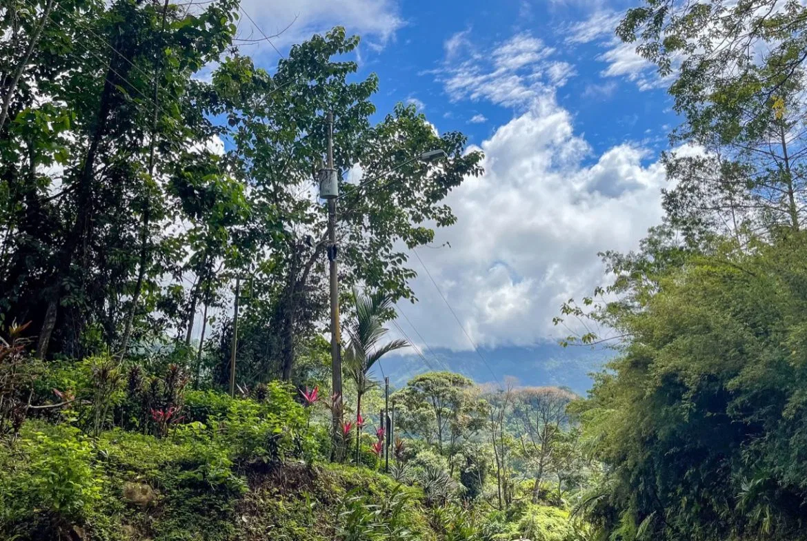 OCEAN VIEW LOT IN 1.2 ACRES  CLOSE TO UVITA, photo 18