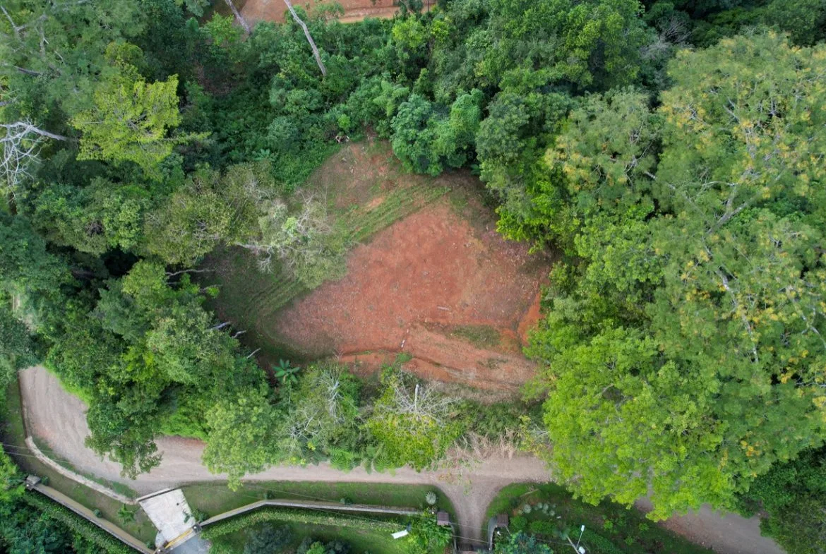 OCEAN VIEW LOT IN 1.2 ACRES  CLOSE TO UVITA, photo 24