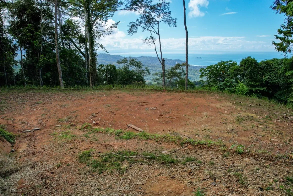 OCEAN VIEW LOT IN 1.2 ACRES  CLOSE TO UVITA, photo 6