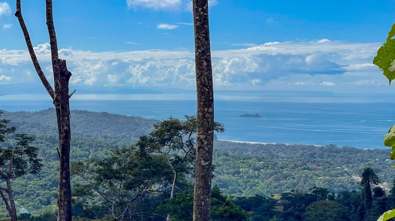 OCEAN VIEW LOT IN 1.2 ACRES  CLOSE TO UVITA, photo 7