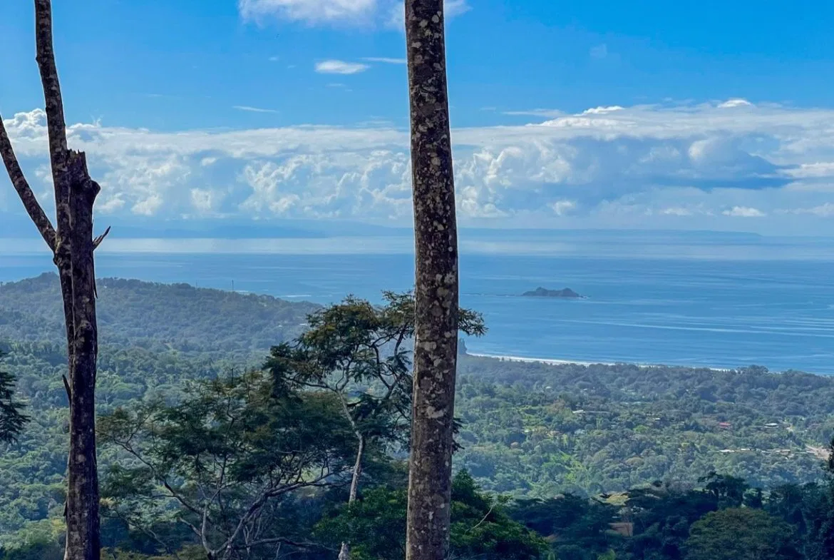 OCEAN VIEW LOT IN 1.2 ACRES  CLOSE TO UVITA, photo 8
