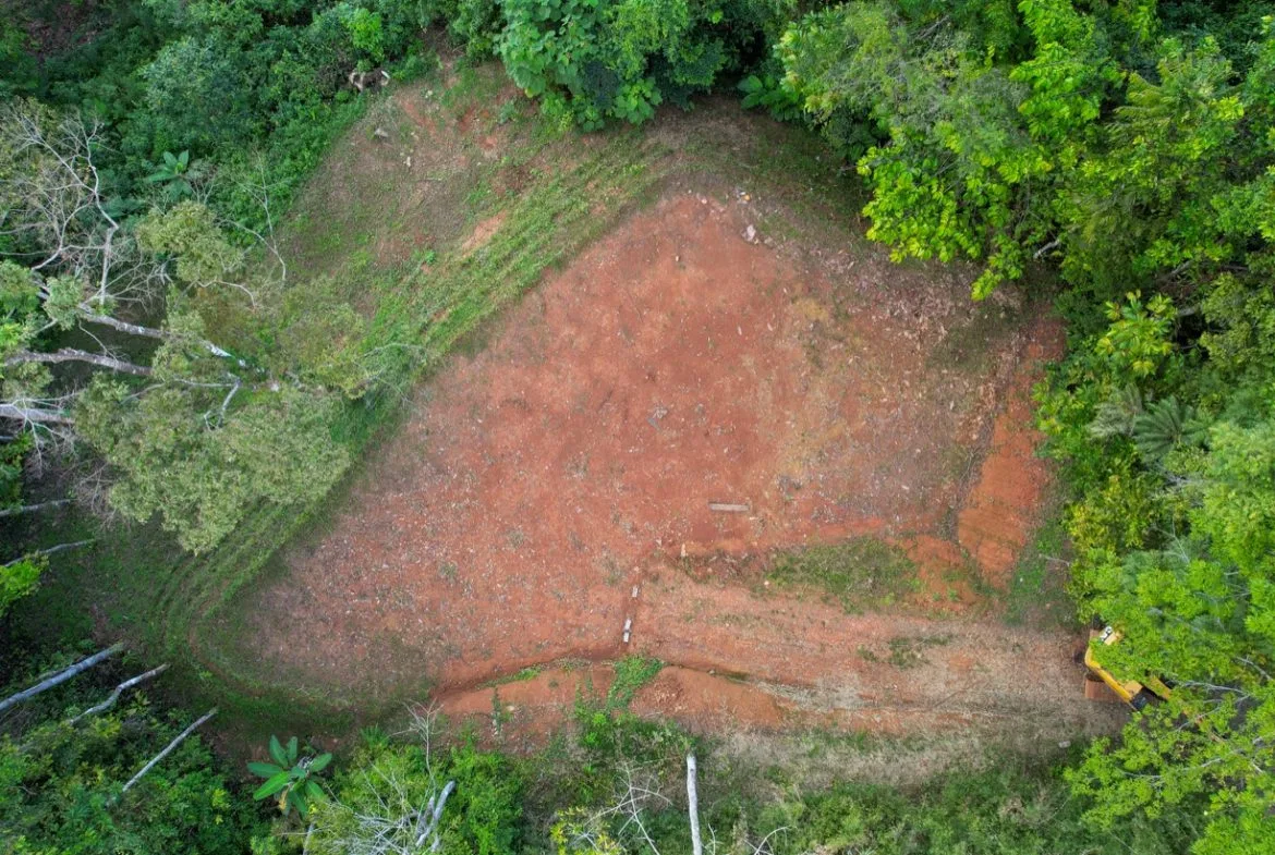 OCEAN VIEW LOT IN 1.2 ACRES  CLOSE TO UVITA, photo 10