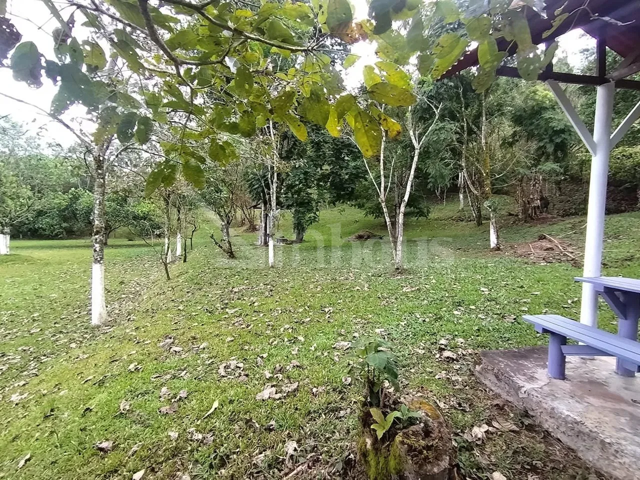 Se vende finca en Puriscal de 14 mil m2.