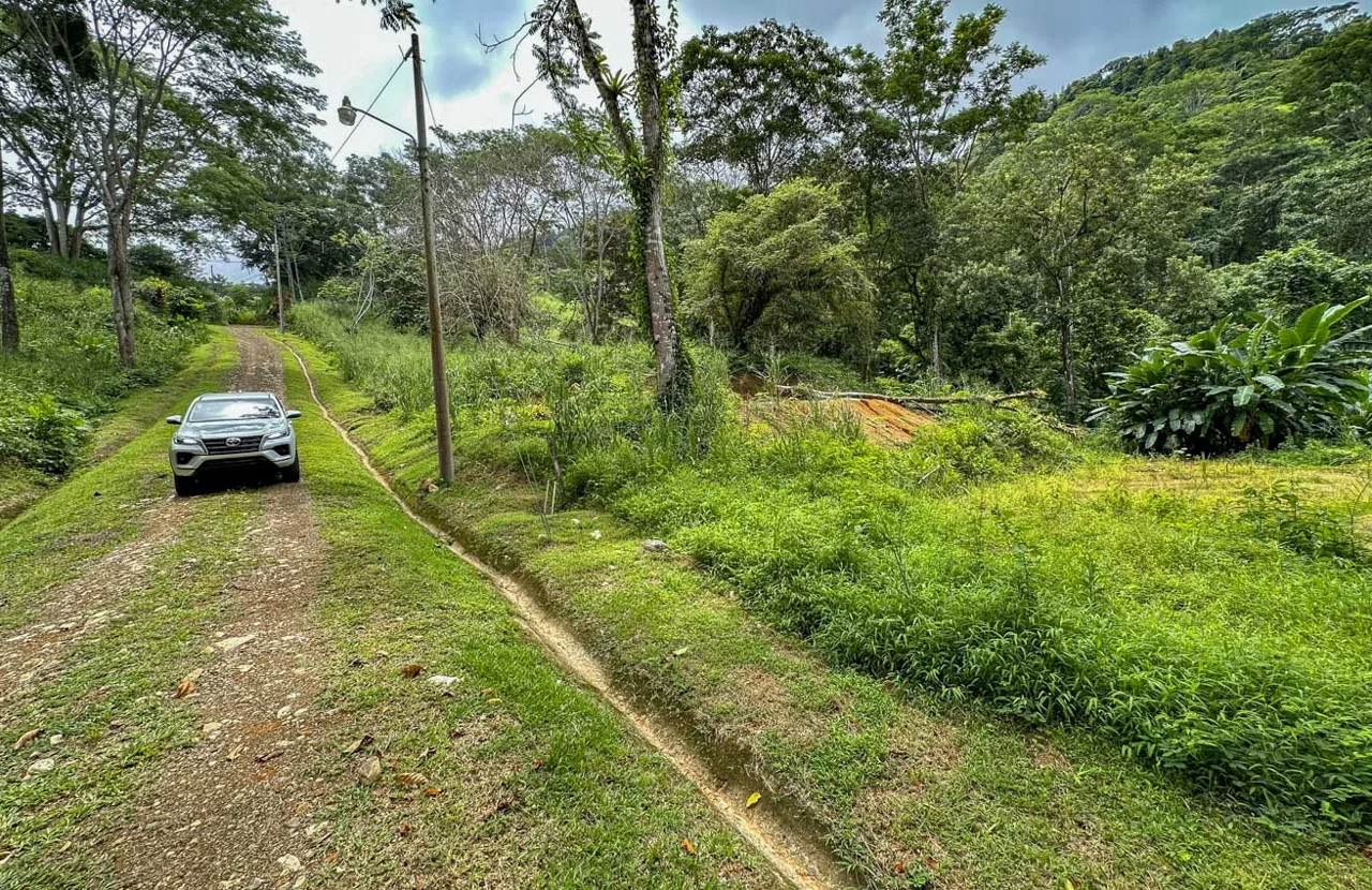 BUILDING PROPERTY WITH PUBLIC ROAD IN FRONT AND FRUIT TREES, IN TORTUGA ARRIBA – 0.30 ACRES, photo 13