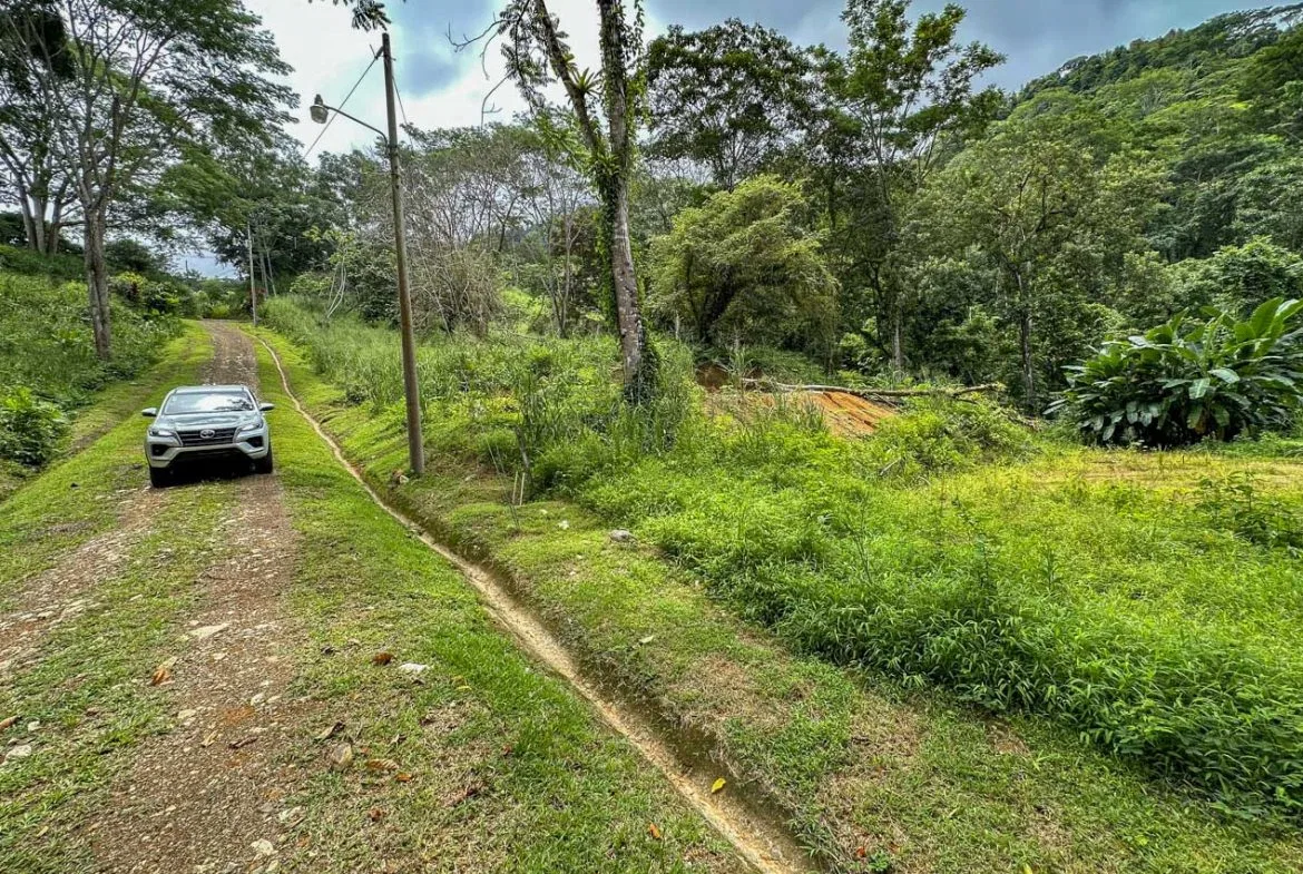 BUILDING PROPERTY WITH PUBLIC ROAD IN FRONT AND FRUIT TREES, IN TORTUGA ARRIBA – 0.30 ACRES, photo 14