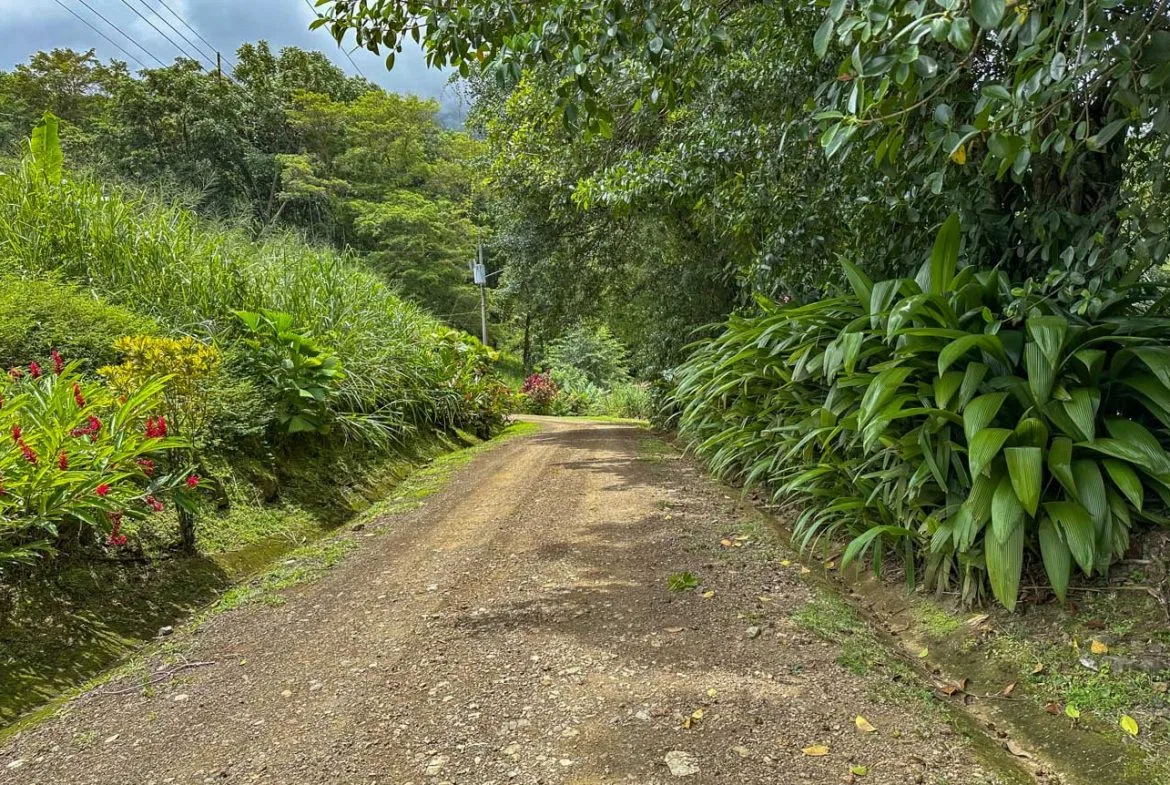 BUILDING PROPERTY WITH PUBLIC ROAD IN FRONT AND FRUIT TREES, IN TORTUGA ARRIBA – 0.30 ACRES, photo 16