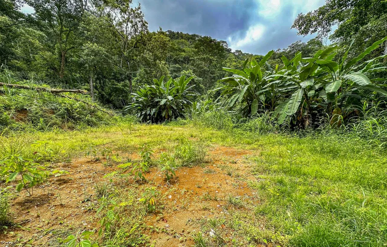 BUILDING PROPERTY WITH PUBLIC ROAD IN FRONT AND FRUIT TREES, IN TORTUGA ARRIBA – 0.30 ACRES, photo 17