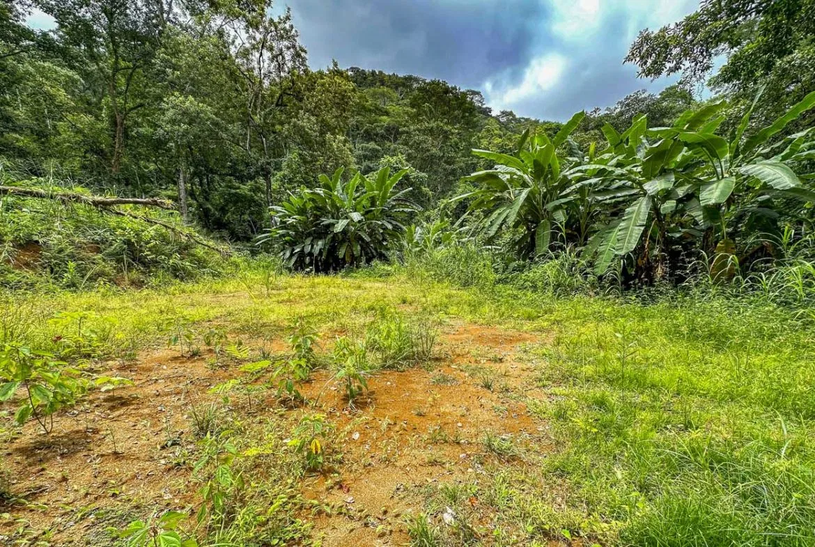 BUILDING PROPERTY WITH PUBLIC ROAD IN FRONT AND FRUIT TREES, IN TORTUGA ARRIBA – 0.30 ACRES, photo 18