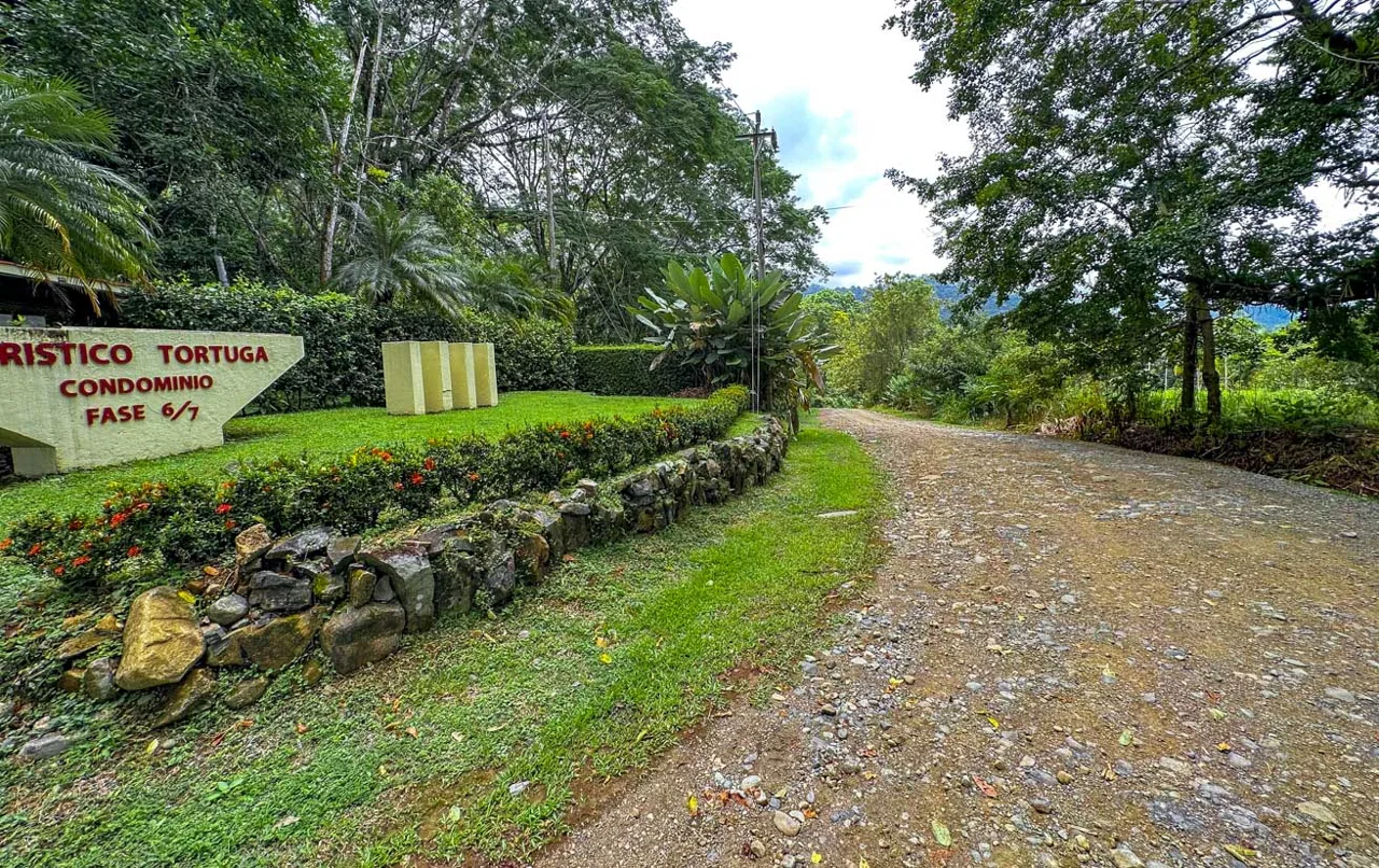 BUILDING PROPERTY WITH PUBLIC ROAD IN FRONT AND FRUIT TREES, IN TORTUGA ARRIBA – 0.30 ACRES, photo 3