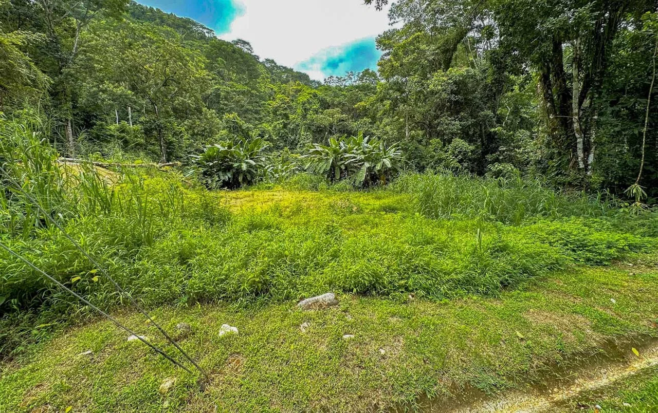 BUILDING PROPERTY WITH PUBLIC ROAD IN FRONT AND FRUIT TREES, IN TORTUGA ARRIBA – 0.30 ACRES, photo 23