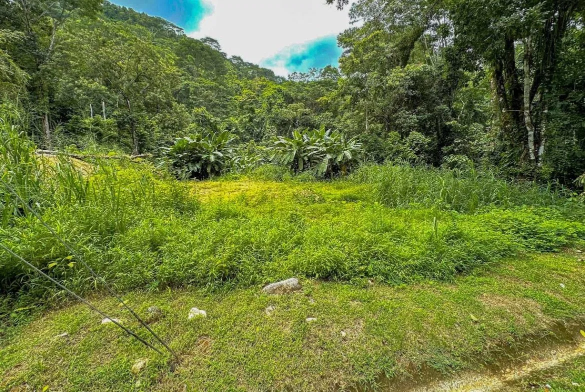 BUILDING PROPERTY WITH PUBLIC ROAD IN FRONT AND FRUIT TREES, IN TORTUGA ARRIBA – 0.30 ACRES, photo 24
