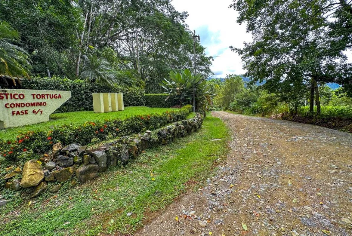 BUILDING PROPERTY WITH PUBLIC ROAD IN FRONT AND FRUIT TREES, IN TORTUGA ARRIBA – 0.30 ACRES, photo 4