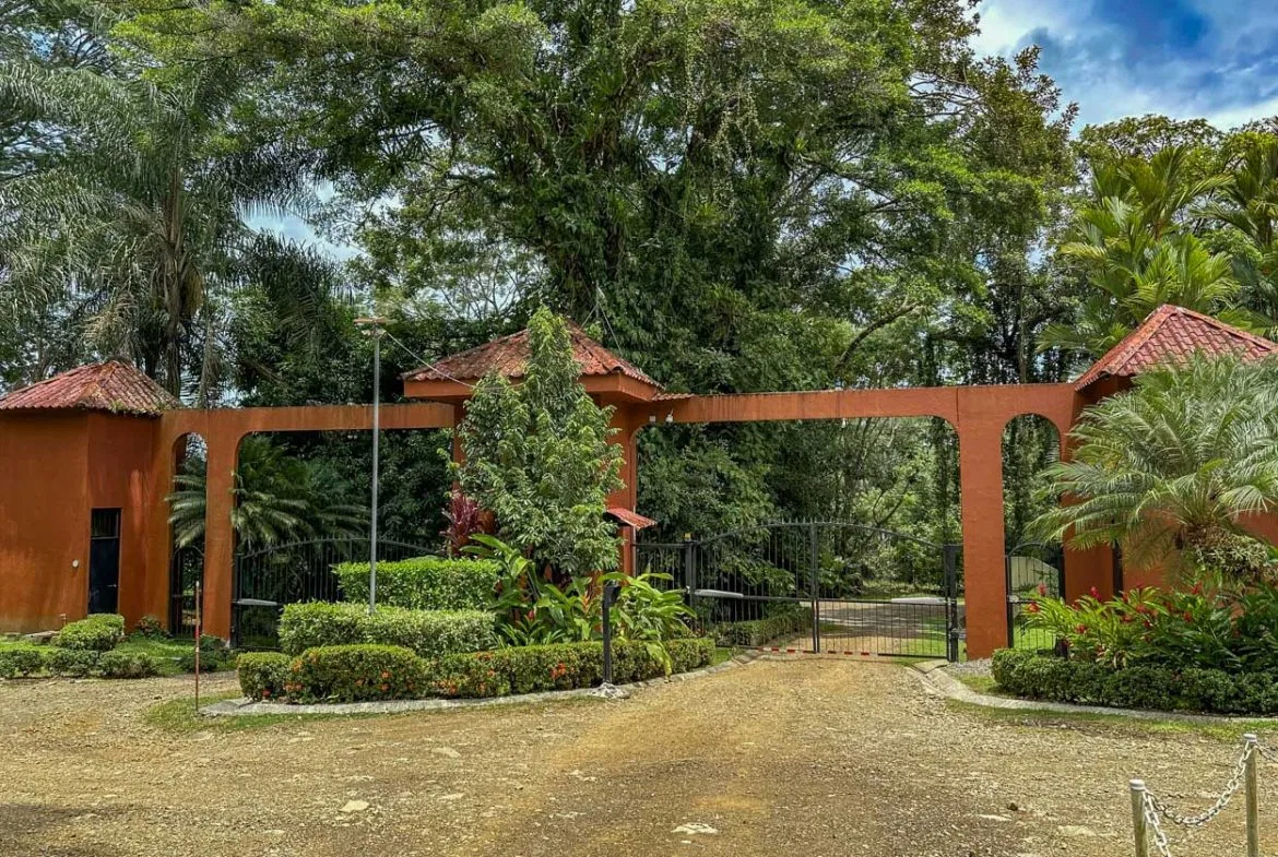 BUILDING PROPERTY WITH PUBLIC ROAD IN FRONT AND FRUIT TREES, IN TORTUGA ARRIBA – 0.30 ACRES, photo 6