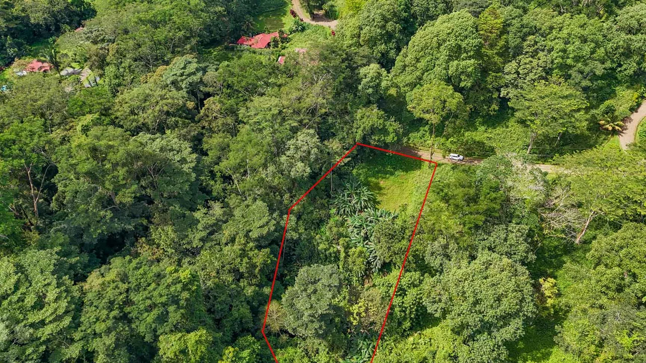 BUILDING PROPERTY WITH PUBLIC ROAD IN FRONT AND FRUIT TREES, IN TORTUGA ARRIBA – 0.30 ACRES, photo 9