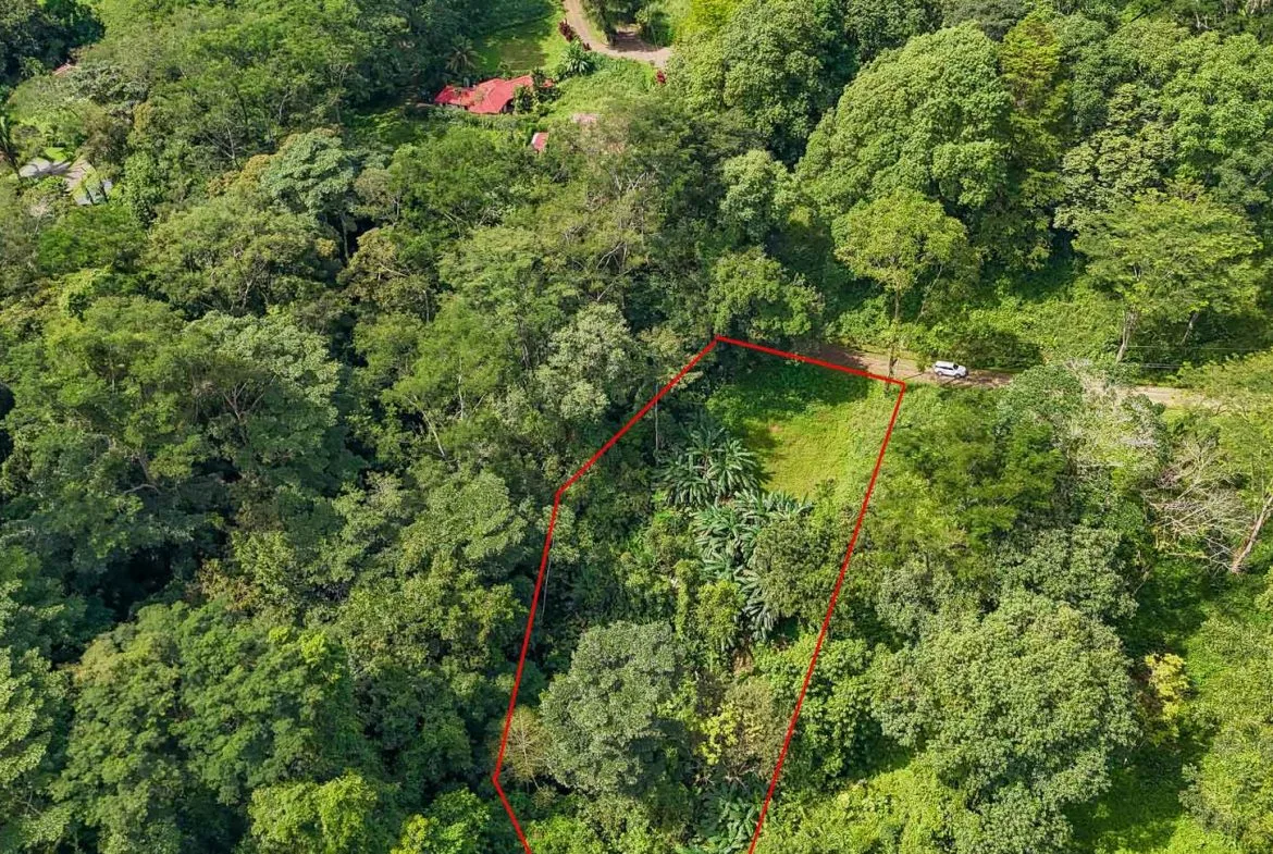 BUILDING PROPERTY WITH PUBLIC ROAD IN FRONT AND FRUIT TREES, IN TORTUGA ARRIBA – 0.30 ACRES, photo 10