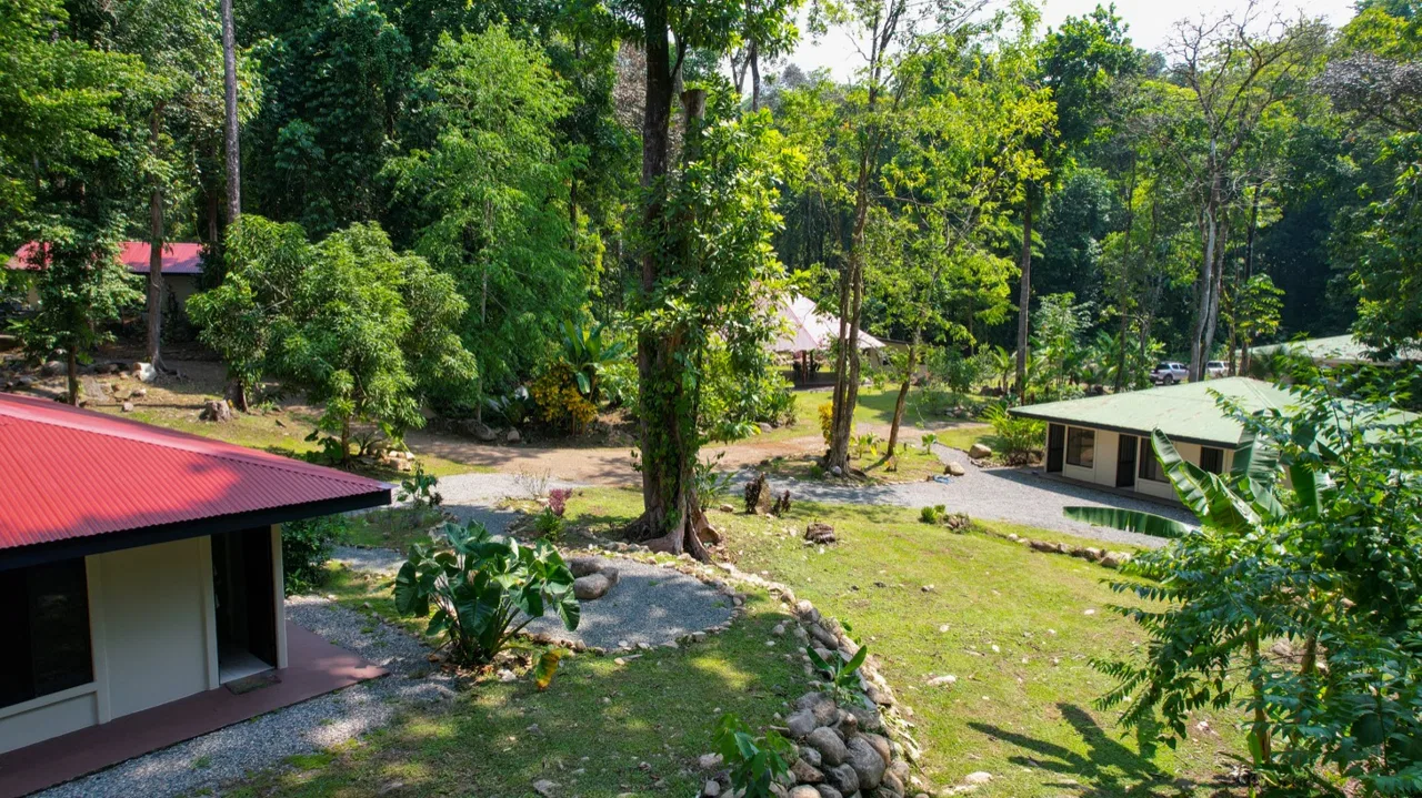 TROPICAL RIVERFRONT ESTATE IN CINCO VENTANAS – 5.65 ACRES WITH MULTIPLE HOMES, BUILD SITES & JUNGLE OASIS