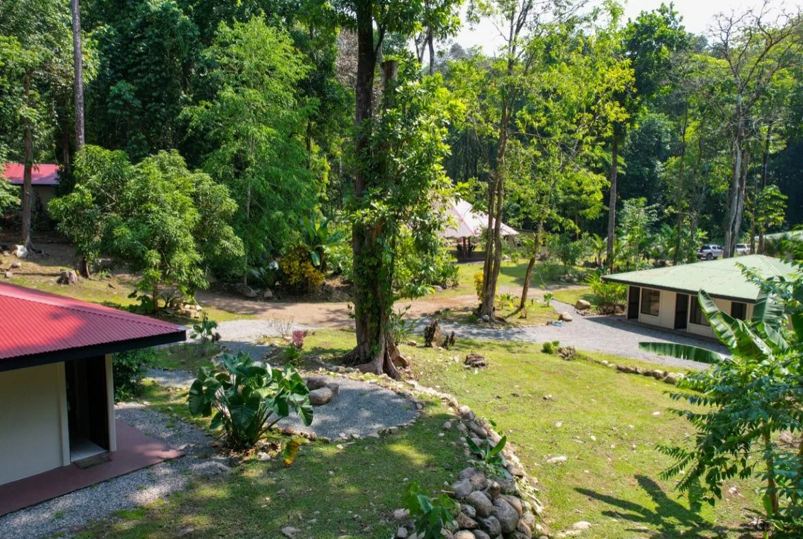TROPICAL RIVERFRONT ESTATE IN CINCO VENTANAS – 5.65 ACRES WITH MULTIPLE HOMES, BUILD SITES & JUNGLE OASIS, photo 2