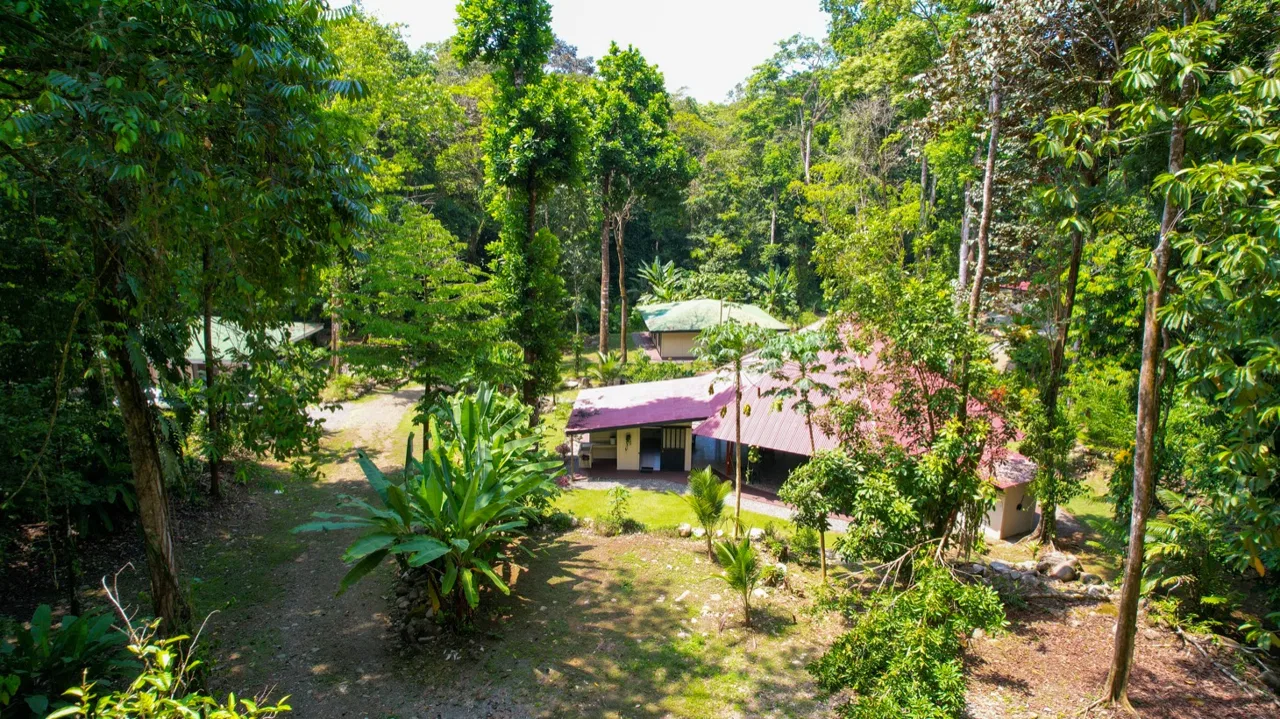 TROPICAL RIVERFRONT ESTATE IN CINCO VENTANAS – 5.65 ACRES WITH MULTIPLE HOMES, BUILD SITES & JUNGLE OASIS, photo 13