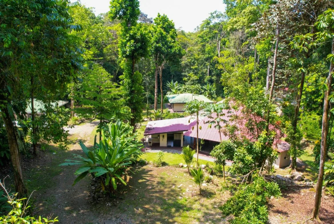 TROPICAL RIVERFRONT ESTATE IN CINCO VENTANAS – 5.65 ACRES WITH MULTIPLE HOMES, BUILD SITES & JUNGLE OASIS, photo 14