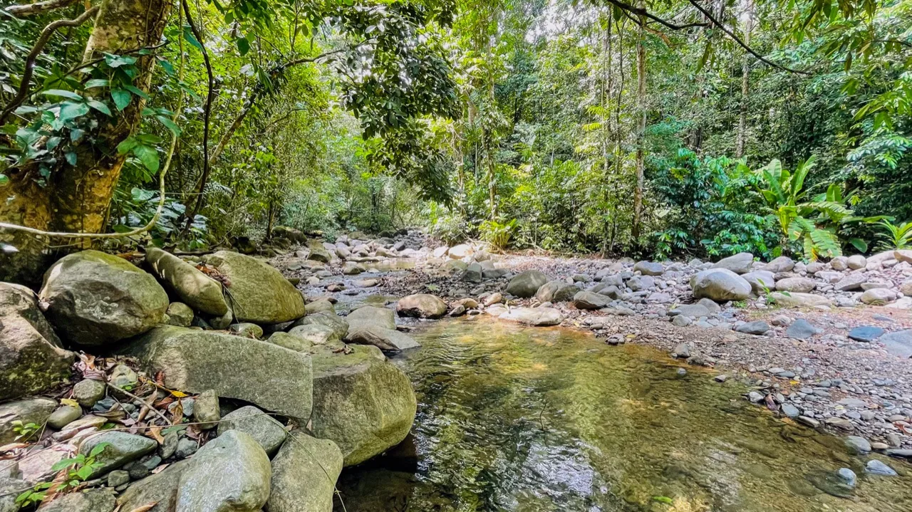 TROPICAL RIVERFRONT ESTATE IN CINCO VENTANAS – 5.65 ACRES WITH MULTIPLE HOMES, BUILD SITES & JUNGLE OASIS, photo 17