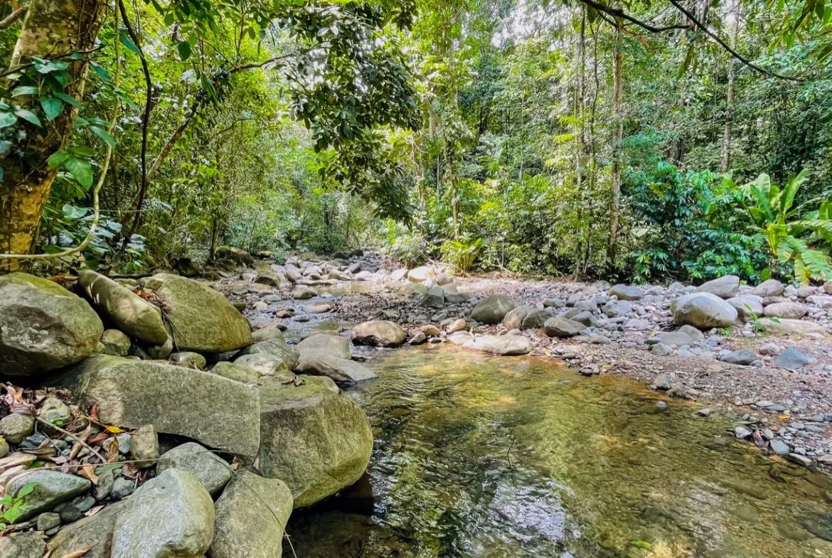 TROPICAL RIVERFRONT ESTATE IN CINCO VENTANAS – 5.65 ACRES WITH MULTIPLE HOMES, BUILD SITES & JUNGLE OASIS, photo 18