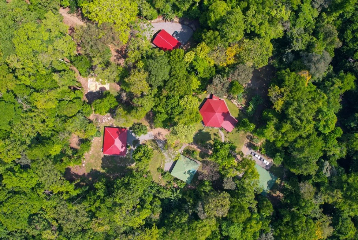 TROPICAL RIVERFRONT ESTATE IN CINCO VENTANAS – 5.65 ACRES WITH MULTIPLE HOMES, BUILD SITES & JUNGLE OASIS, photo 4
