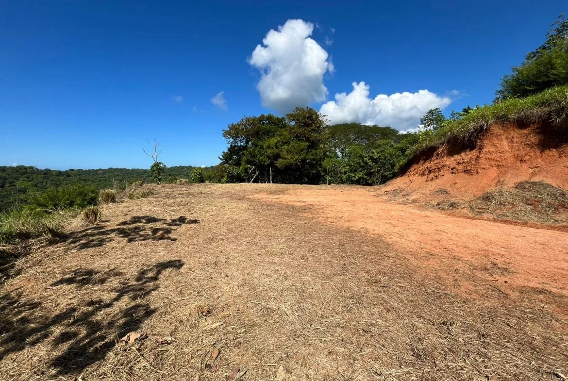 LOT READY TO BUILD WITH OCEAN VIEW AND MINUTES TO DOMINICAL – 1.5 ACRES, photo 12