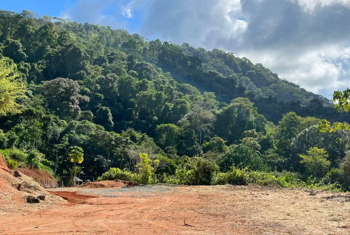 LOT READY TO BUILD WITH OCEAN VIEW AND MINUTES TO DOMINICAL – 1.5 ACRES, photo 14
