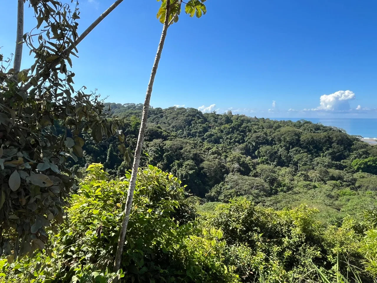 LOT READY TO BUILD WITH OCEAN VIEW AND MINUTES TO DOMINICAL – 1.5 ACRES, photo 19