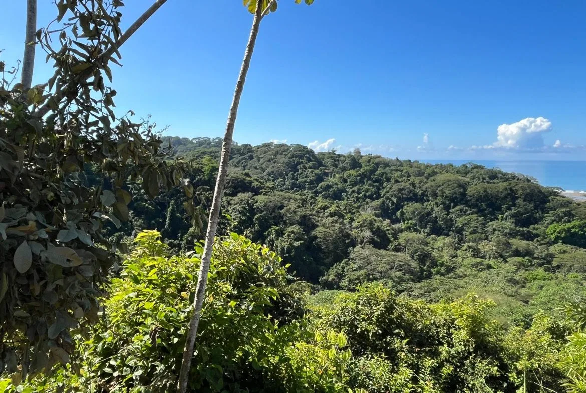 LOT READY TO BUILD WITH OCEAN VIEW AND MINUTES TO DOMINICAL – 1.5 ACRES, photo 20
