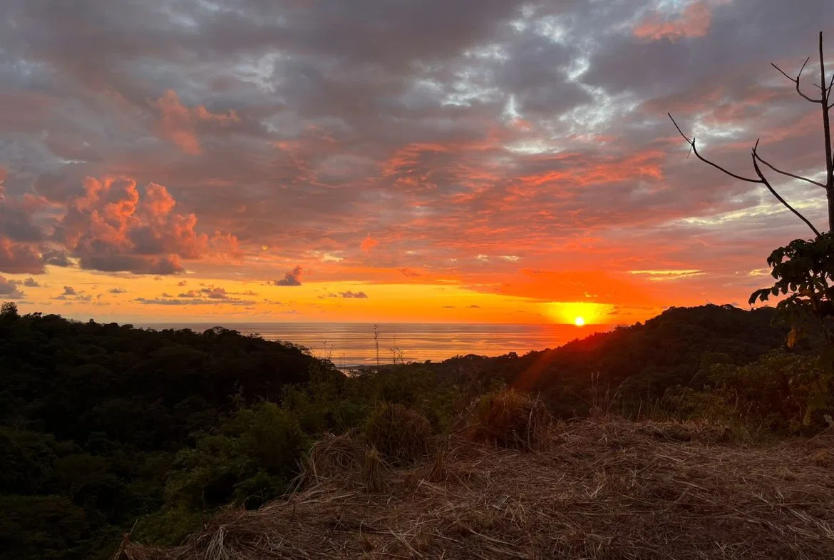 LOT READY TO BUILD WITH OCEAN VIEW AND MINUTES TO DOMINICAL – 1.5 ACRES, photo 4
