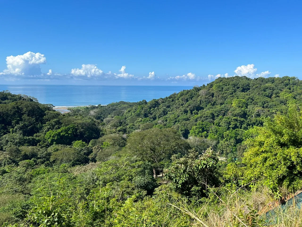 LOT READY TO BUILD WITH OCEAN VIEW AND MINUTES TO DOMINICAL – 1.5 ACRES, photo 9