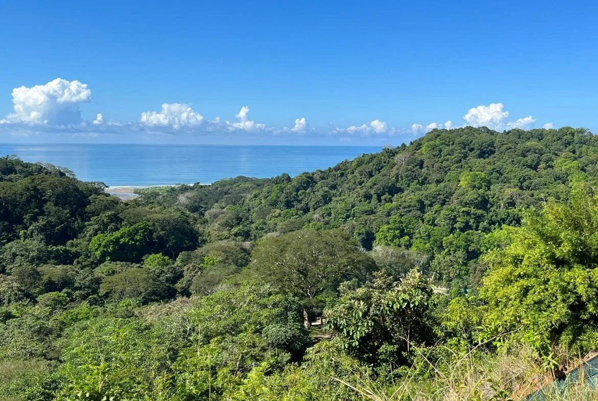 LOT READY TO BUILD WITH OCEAN VIEW AND MINUTES TO DOMINICAL – 1.5 ACRES, photo 10