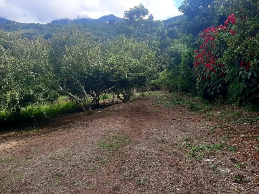 Lote en Venta en Escazú, San José. RAH 24-1124 - Venta en Escazú, photo 8