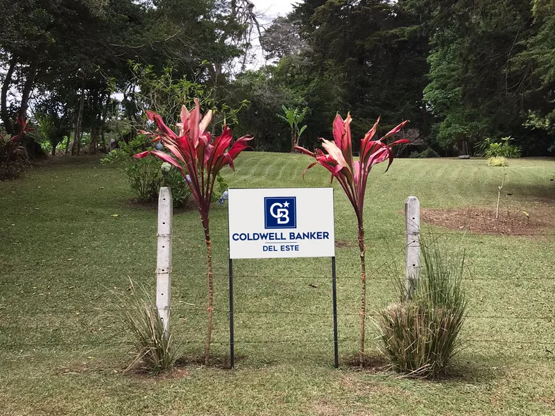 Land For Sale in San Rafael