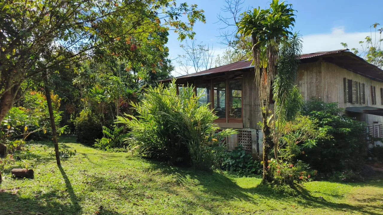 Farm for Sale in Llano Bonito, Golfito Puntarenas | 165 Hectares (Approx.) Near Río Claro - REMAX Jungle Properties | Pavones Golfito Real Estate
