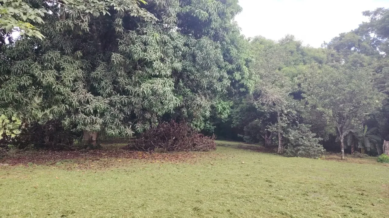PLOT FOR SALE IN GUACALILLO - 124; 3,820 M ² NEAR THE BEACHES OF THE PEACEFUL