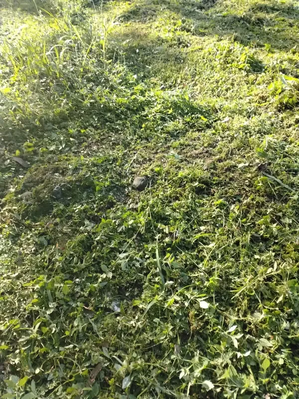 PLOT FOR SALE IN GUACALILLO - 124; 3,820 M ² NEAR THE BEACHES OF THE PEACEFUL, photo 3