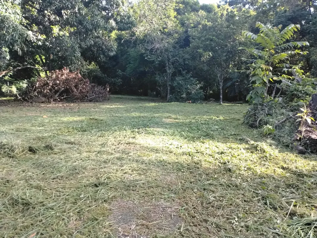 PLOT FOR SALE IN GUACALILLO - 124; 3,820 M ² NEAR THE BEACHES OF THE PEACEFUL, photo 4