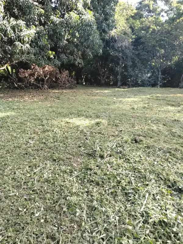 PLOT FOR SALE IN GUACALILLO - 124; 3,820 M ² NEAR THE BEACHES OF THE PEACEFUL, photo 5