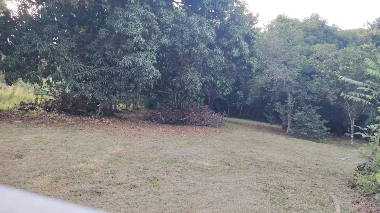 PLOT FOR SALE IN GUACALILLO - 124; 3,820 M ² NEAR THE BEACHES OF THE PEACEFUL, photo 6